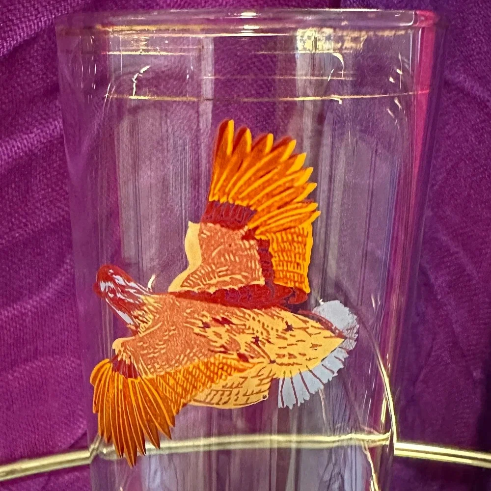 Vintage 1950s–1960s Pheasant Highball Glasses‎ Set of 2 Mid Century Fall Barware